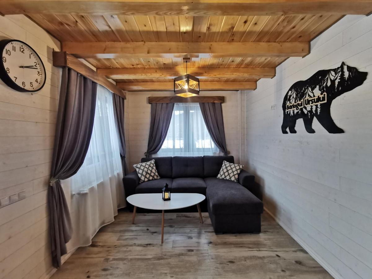 Bear'S Lair Chalet Porumbacu de Sus Dış mekan fotoğraf