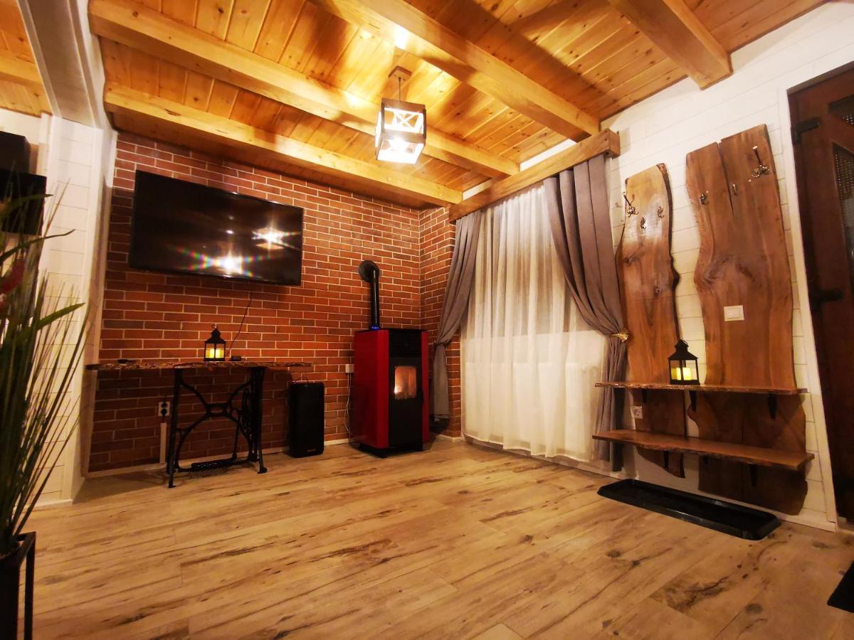Bear'S Lair Chalet Porumbacu de Sus Dış mekan fotoğraf