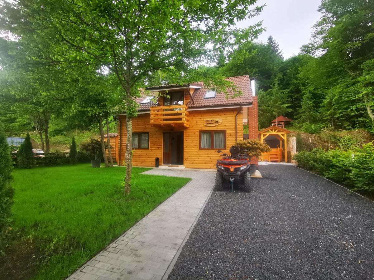 Bear'S Lair Chalet Porumbacu de Sus Dış mekan fotoğraf