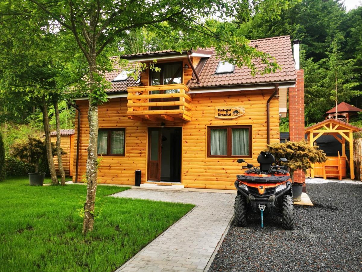 Bear'S Lair Chalet Porumbacu de Sus Dış mekan fotoğraf