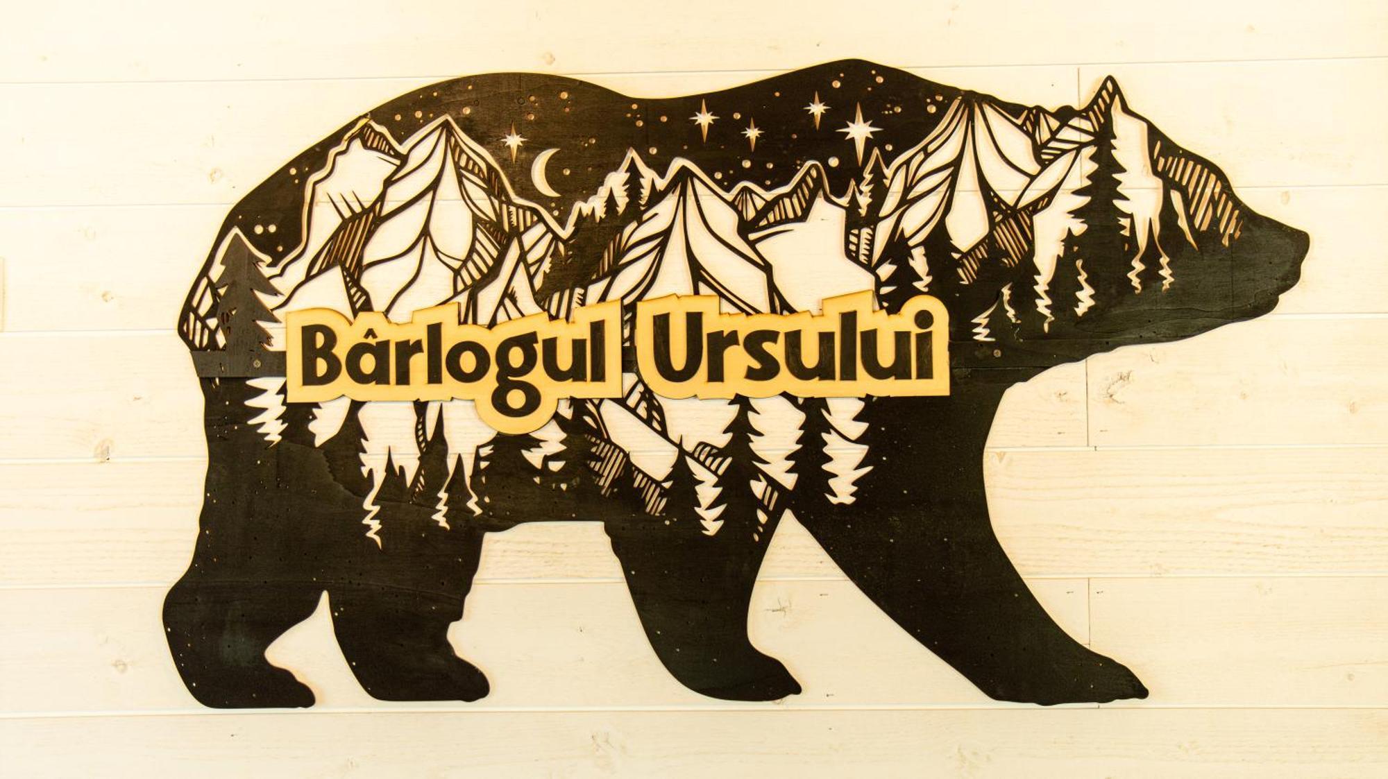 Bear'S Lair Chalet Porumbacu de Sus Dış mekan fotoğraf