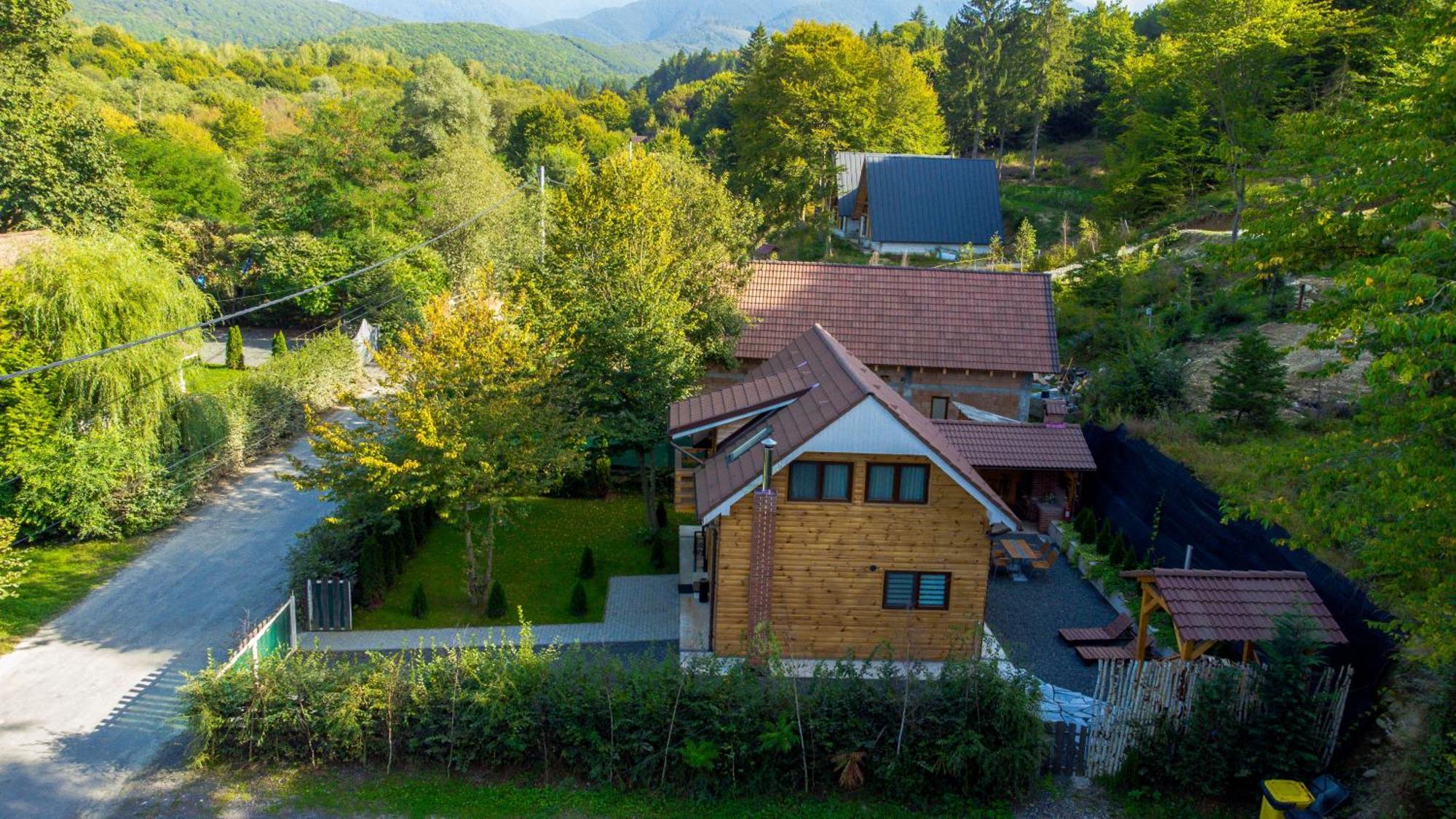 Bear'S Lair Chalet Porumbacu de Sus Dış mekan fotoğraf
