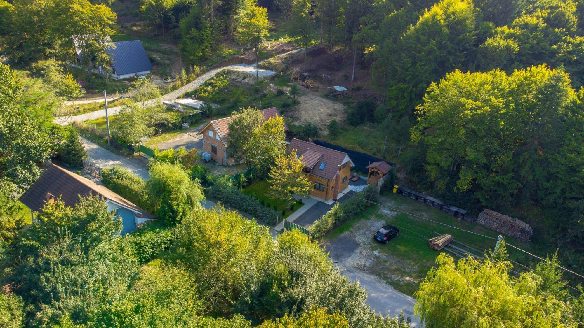 Bear'S Lair Chalet Porumbacu de Sus Dış mekan fotoğraf