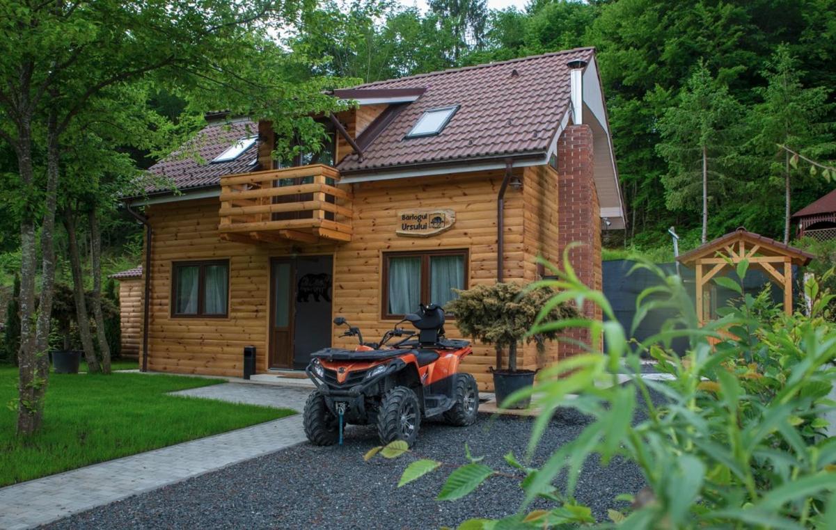 Bear'S Lair Chalet Porumbacu de Sus Dış mekan fotoğraf